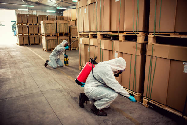Best Flea Control Services  in Sheffield, AL