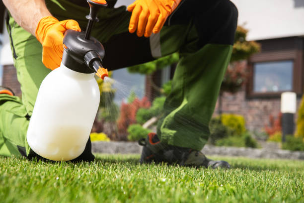 Best Bed Bug Extermination  in Sheffield, AL