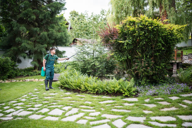 Best Ant Control Services  in Sheffield, AL
