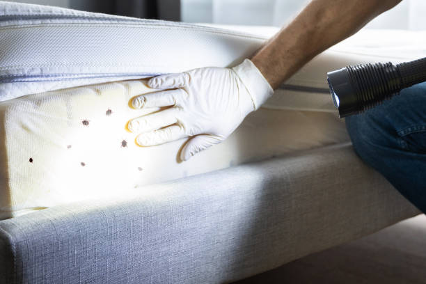 Best Residential Pest Control  in Sheffield, AL