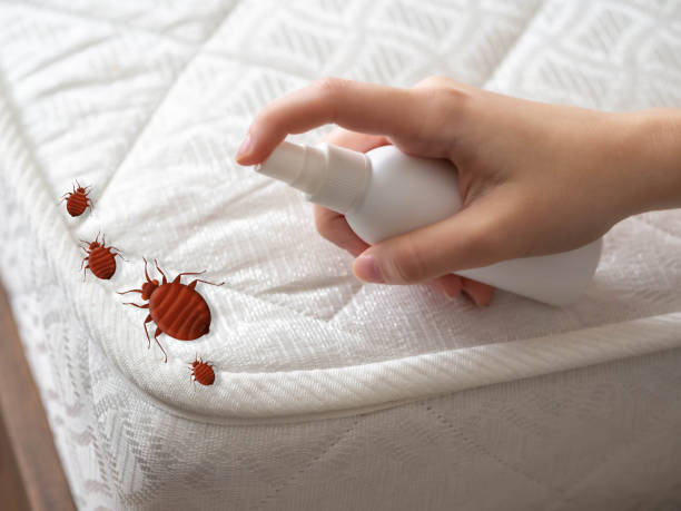 Best Termite Control Services  in Sheffield, AL