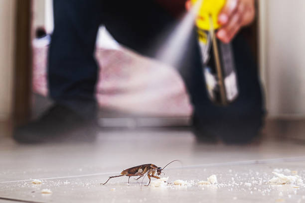 Sheffield, AL Pest Control Company