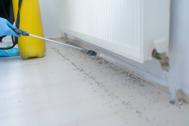 Best Pest Control Near Me  in Sheffield, AL