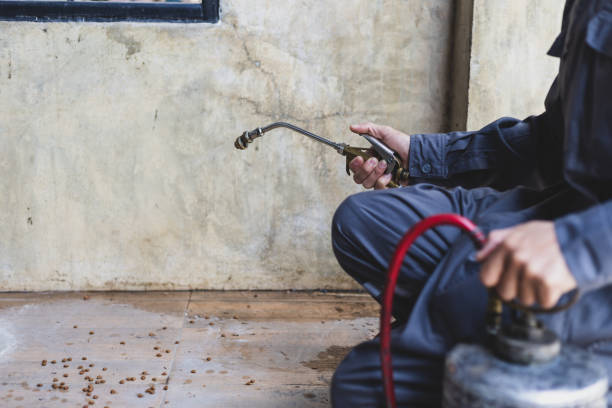 Professional Pest Control in Sheffield, AL